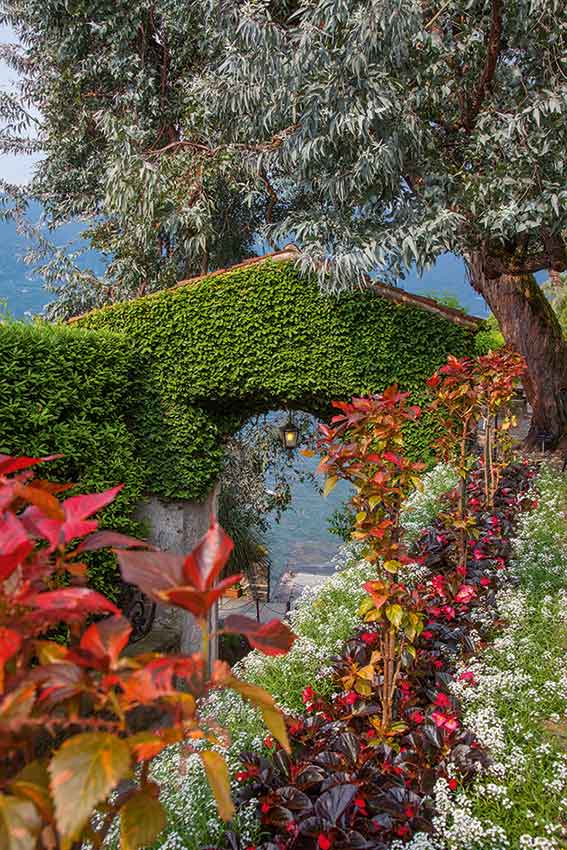 Isola Madre Giardini