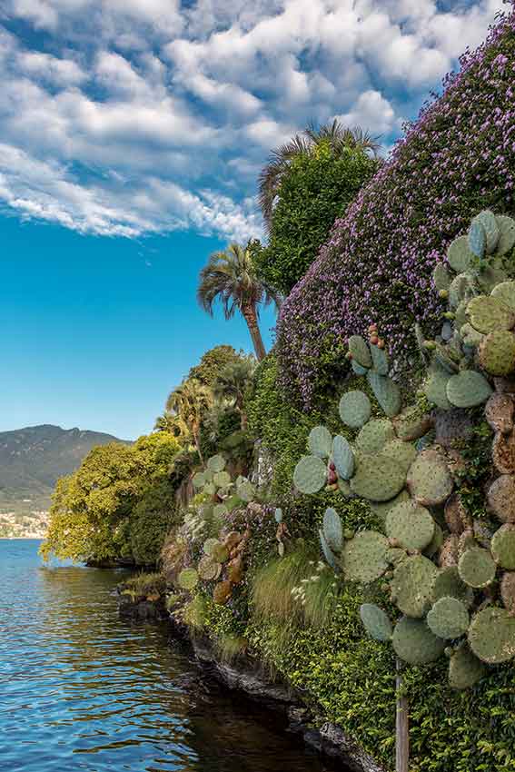 Isola Madre Giardini