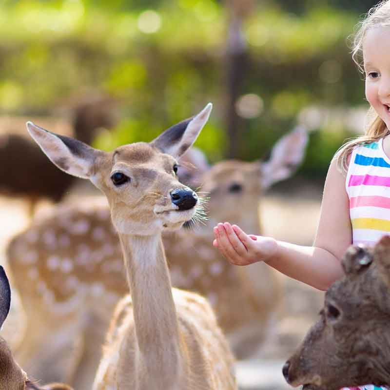 Educational offer | Parco Pallavicino