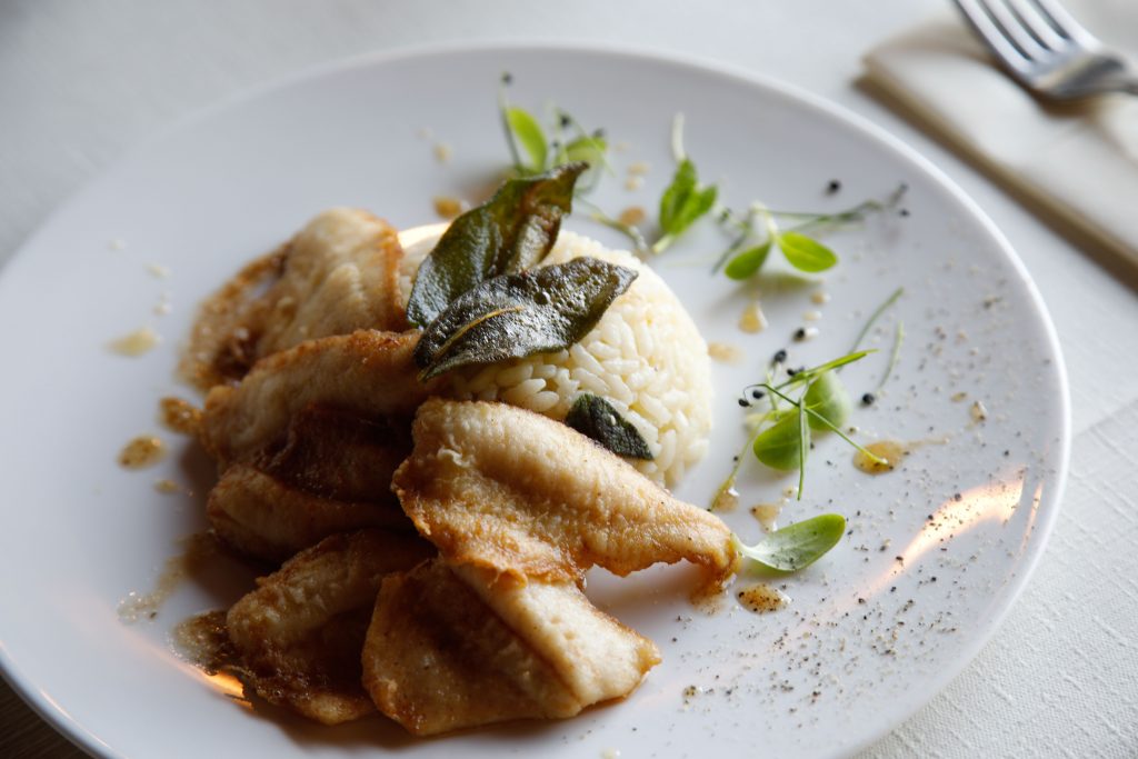 pesce persico ristorante la piratera isola madre
