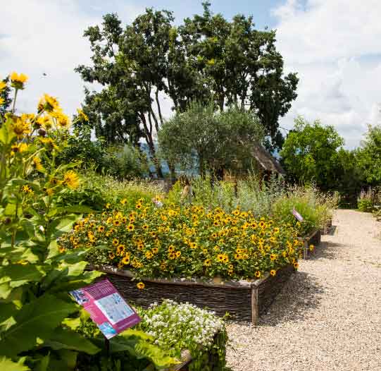 CALENDARIO DELLE FIORITURE