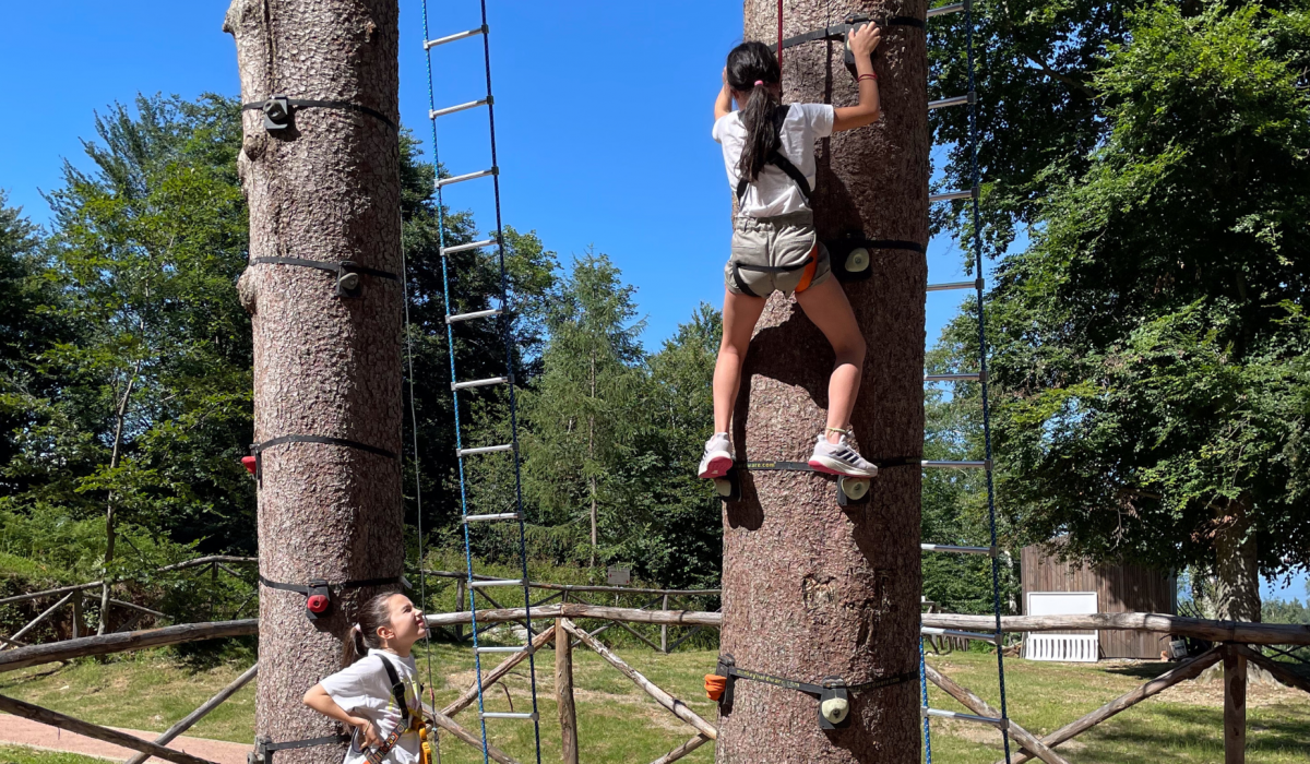 KostenlosesTreeClimbing Mottarone Adventure Park MottaroneDay