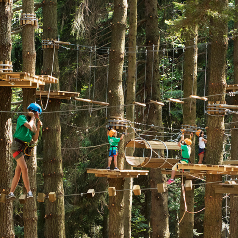 Mottarone Adventure Park: the fun in nature restarts on 6 April